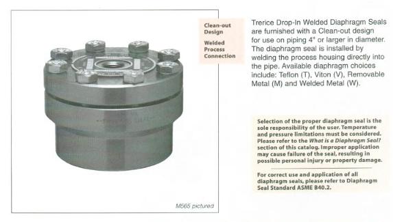 Non-Stock Diaphragm Seals